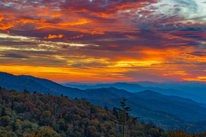 View of the Blue Ridge Mountains in spring from Boone NC with blooming trees in the foreground